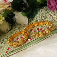 ResplendentMatte Golden Rajwadi Kara