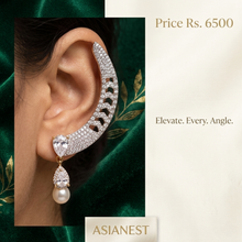 Fancy Zarconic Earrings
